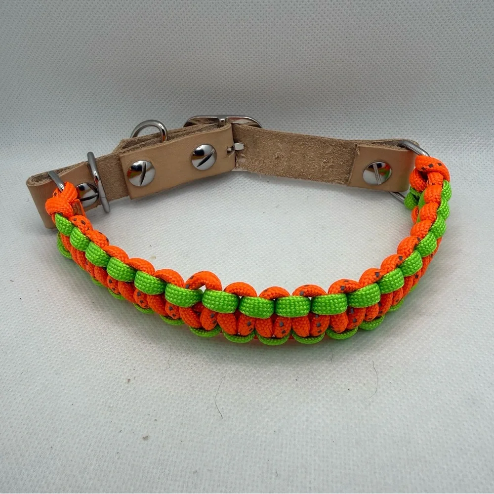 Handmade Leather and Paracord Dog Collar